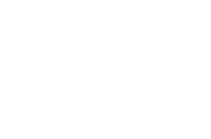 Logo Serturner